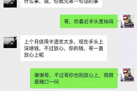 东宝东宝的要账公司在催收过程中的策略和技巧有哪些？